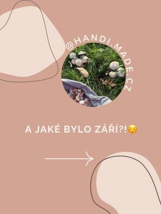 Září máme téměř u konce, tak je zase na čase udělat takový mini souhrn ☺️ ✨ ježek 🦔 ✨ novinky 🌸 ✨ trhy 🎤 ✨ svatební...